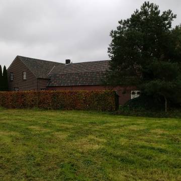 IMG 20171111 133603249 (Large)