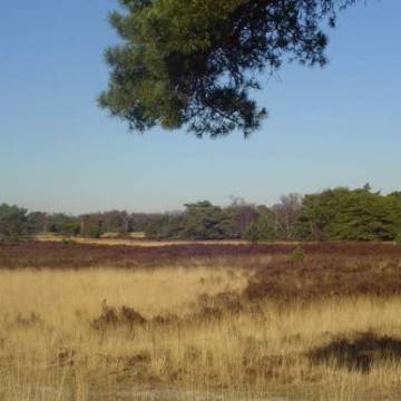 Reindersmeer2